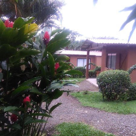 Slow Travel Lodge Upala 外观 照片