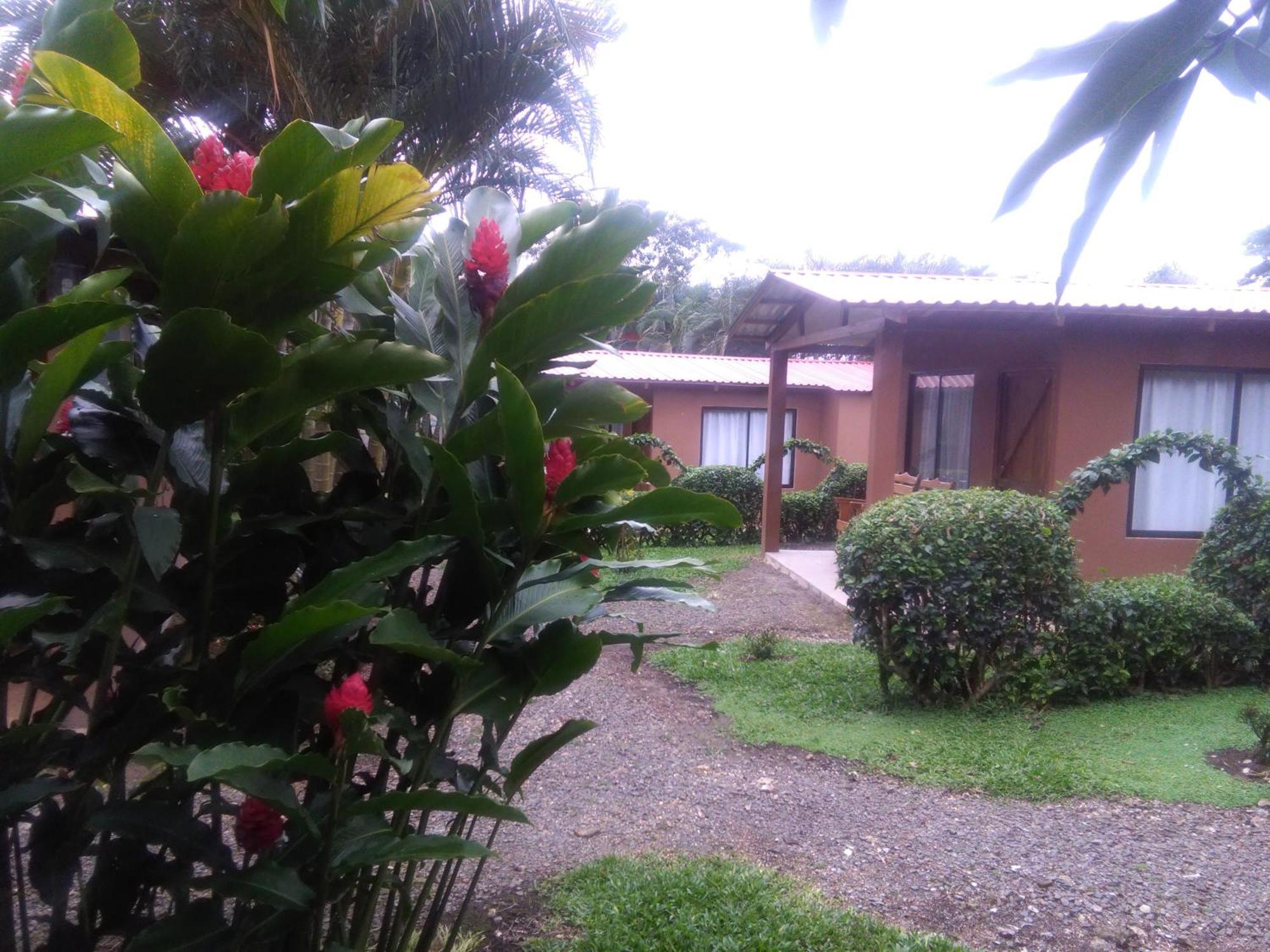 Slow Travel Lodge Upala 外观 照片
